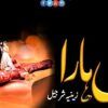 Dil-Hara-Novel-by-Zeenia-Sharjeel.