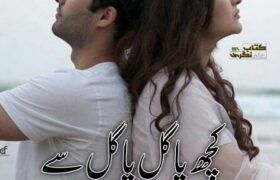 Kuch-pagal-pagal-se-novel-by-farhat-ishtiaq.