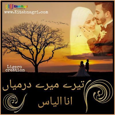 Tere Mere Darmiyan novel  by Ana Ilyas