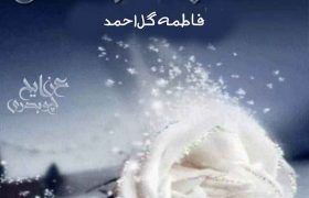 Ahub-Ul-Raqs-Novel-Completge-By-Fatima-Ahmad