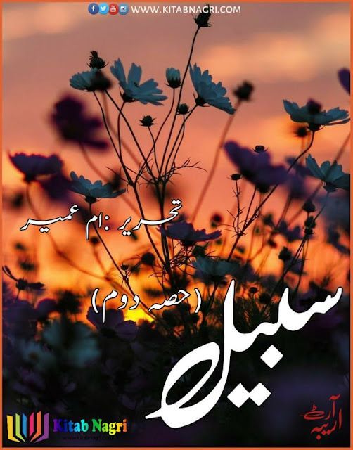 Sabeel novel part 2 Complete by Umm Umayr