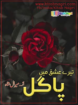 Tere Ishq Mein Pagal novel by Miral Shah