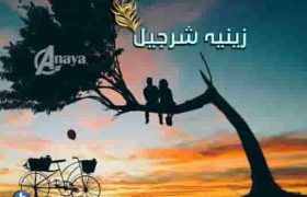 Umeed-E-Wafa-Novel-Pdf-By-Zeenia-Sharjeel