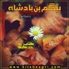 Begum-Bin-Badshah-Romantic-Novel-By-Naila-Noor