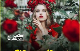 Heer-Chand-Si-Larki-Romantic-Novel-By-Zara-Shabeer