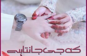 Ke-Jee-Jaanta-Hai-Romantic-Novel-By-Tehzeeb-Sani