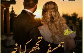 Mere-Humsafar-Tujhe-Kiya-Khabar-Romantic-Novel-By-Zoya-Ali