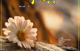 Pachtawa-Romantic-Novel-By-Rida-Abid