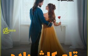 Qilay-Ka-Shahzada-Romantic-Novel-By-Rabia-Amjad