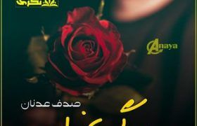 Raig-Raaz-Romantic-Novel-By-Sadaf-Adnan