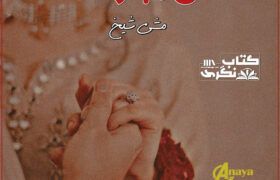 Shadi-Mubarak-Romantic-Novel-By-Meeshi-Sheikh