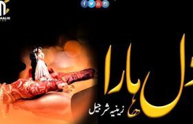 Dil-Hara-Novel-by-Zeenia-Sharjeel.