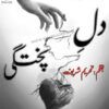 Dil-Pukhtagi-novel-by-Tehreem-Sharif