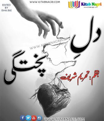 Dil-Pukhtagi-novel-by-Tehreem-Sharif