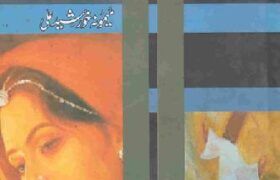 Meda-Kamla-Dhola-novel-By-Memona-Khurshid-Ali