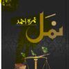Namal-Novel-by-nimra-ahmed.