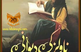 Novels-ki-Deewani-written-by-Nimra-Noor
