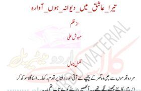 Tera-Ashiq-Mein-Deewana-Hoon-Awaraby-Mehwish-Ali-Urdu-Novel-Complete-Download-Pdf