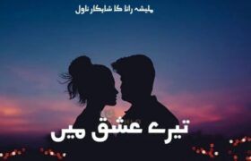 Tere-Ishq-Main-By-Malisha-Rana-Complete-Pdf-Novel