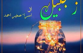 Zanjabeel-novel-by-Isra-Saghir-Ahmed