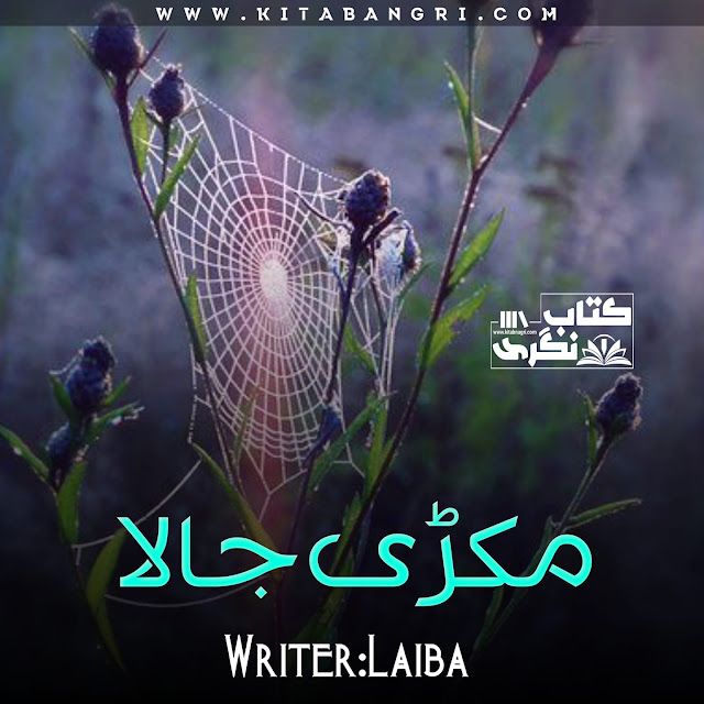 makari-ka-jala-novel-by-laiba-kitabnagri