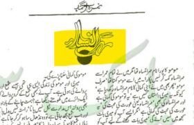 mehr-un-nisa-novel-by-nimra-ahmed-kitabnargi