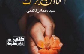 Aftadin-Barg-Complete-Novel-By-Syeda-Humail-Kazmi.