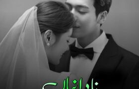 Nadaniyan-Romantic-Novel-By-Aila-Noor.