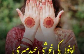 Apno-Ki-Khushi-Eid-Meri-Romantic-Novel-By-Rimsha-Ansari