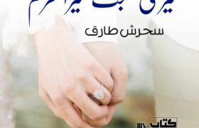 Meri-Mohabbat-Mera-Mehram-Romantic-Novel-By-Sehrish-Tariq.