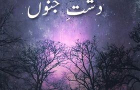 dasht-e-junoon-novel.