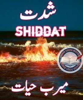 shiddat-novel-by-meerab-hayat-complete-pdf.