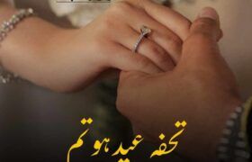 Tohfa-Eid-Ho-Tum-Novel-By-Safia-A-Haseeb.