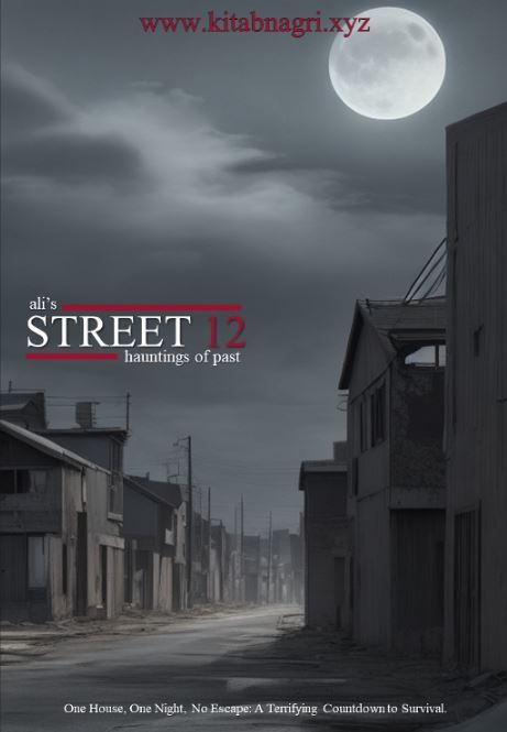 Street-12-novel-by-Ali-Shah