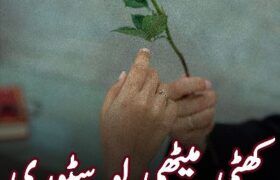 khatti-meethi-love-Story-by-Aimen-liyaqat-episode-1