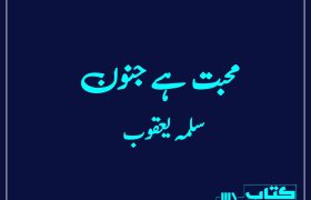 Mohabbat-Hai-Junoon-Complete-Novel-By-Salma-Yaqoob