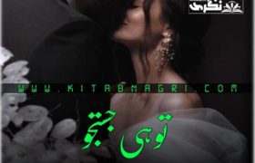 Tu-Hi-Justaju-Novel-By-Haya-Fatima-Ahmad