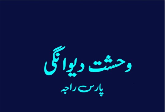 Wehshat-e-Deewangi-Novel-By-Paris-Raja