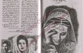 Chahat Ke Rang Novel By Qurrat Ul Ain Roy Complete PDF