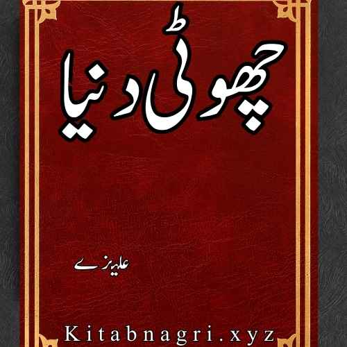 Choti Dunya Novel By Alizay Complete PDF