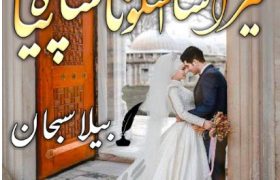 Mera Sham Salona Piya Novel By Bella Subhan Complete PDF