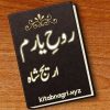 Rooh-e-Yaram-novel-by-Areej-Shah-Kitab-Nagri