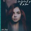 Tum Ko Mana Manzil Dil Musafir Ho Gaya Novel By Areej Shah PDF